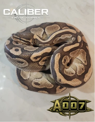 A007