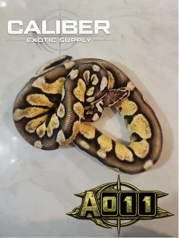A011
