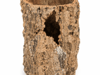 Natural Cork Round Large (10-12'')